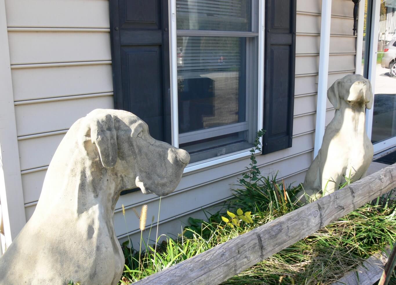 Image Hickory Veterinary and Specialty Hospital