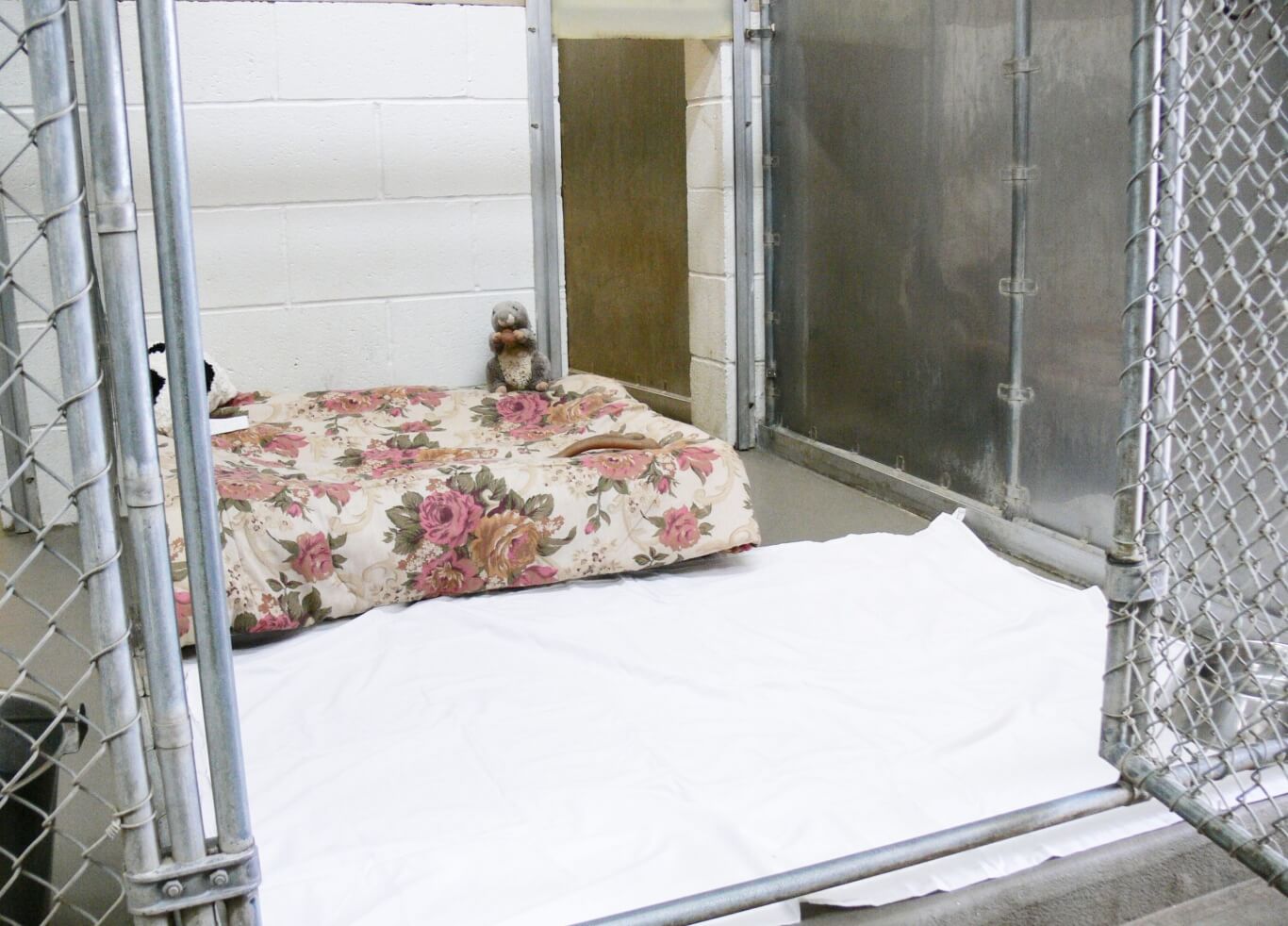 Image Hickory Veterinary and Specialty Hospital