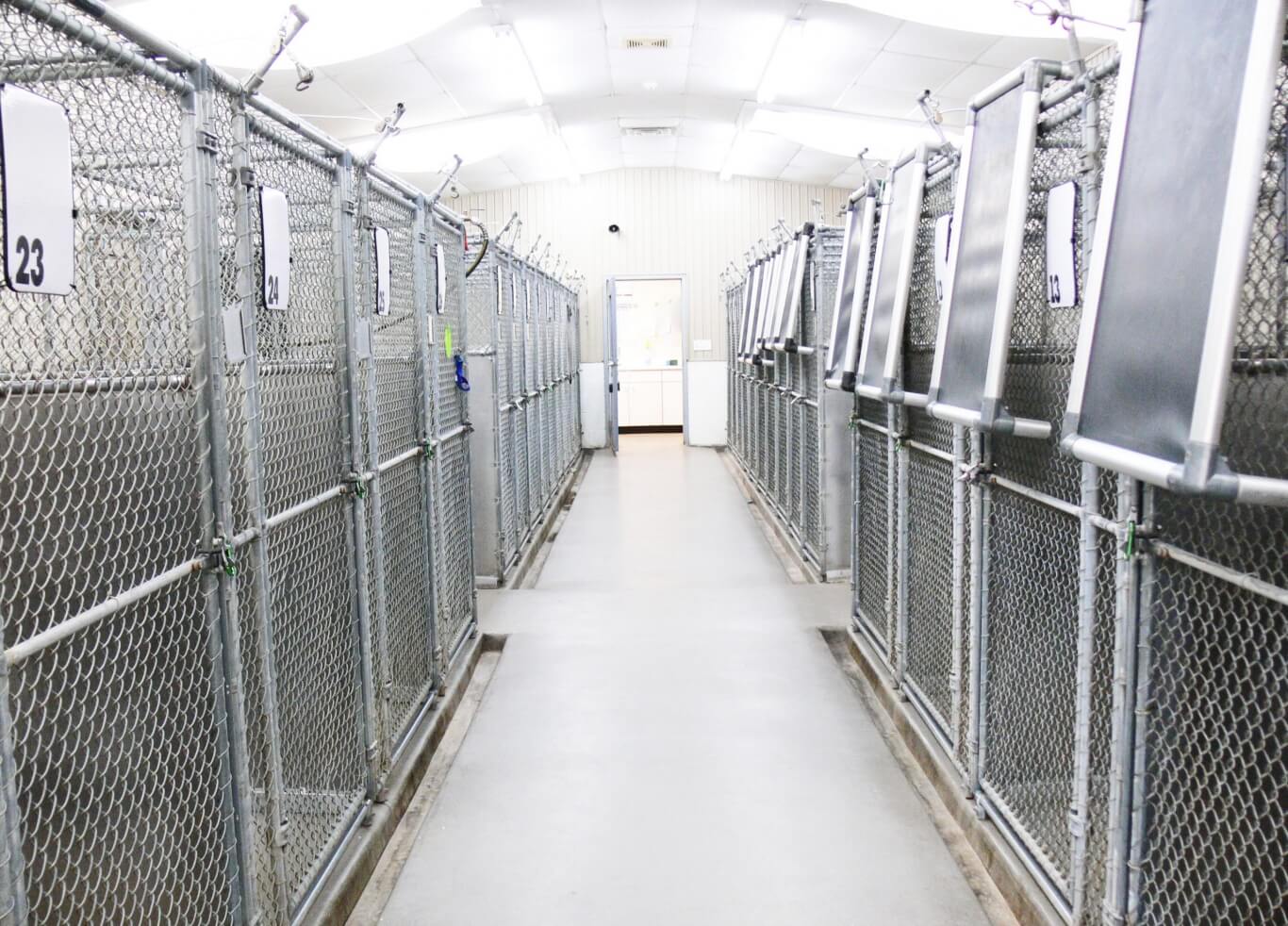 Image Hickory Veterinary and Specialty Hospital