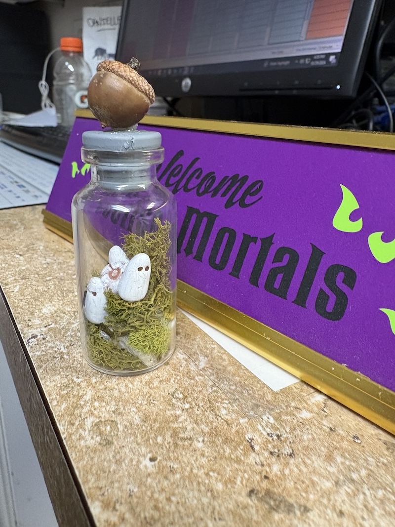 Ghost and Acorn Terrarium