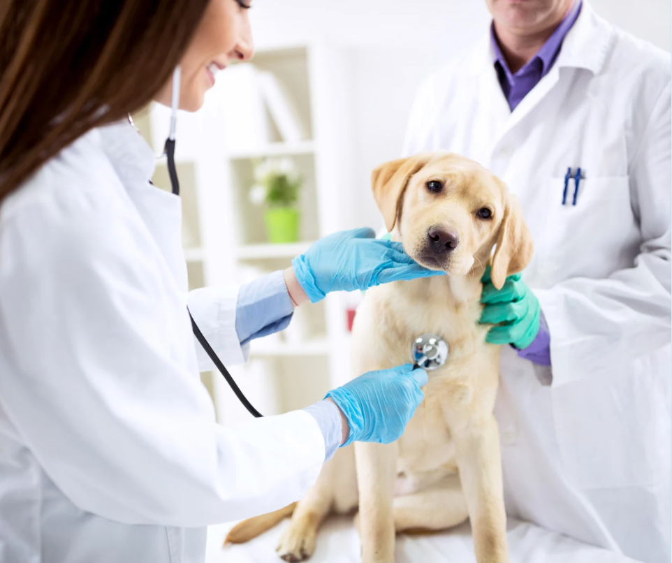Emergency and Urgent Care