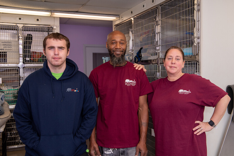 Hickory Veterinary Team