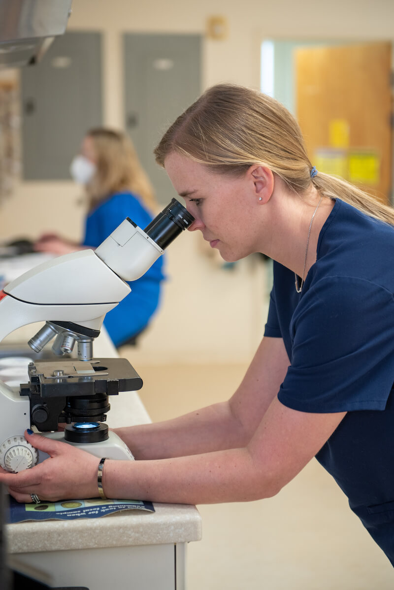 Hickory Veterinary Microscope