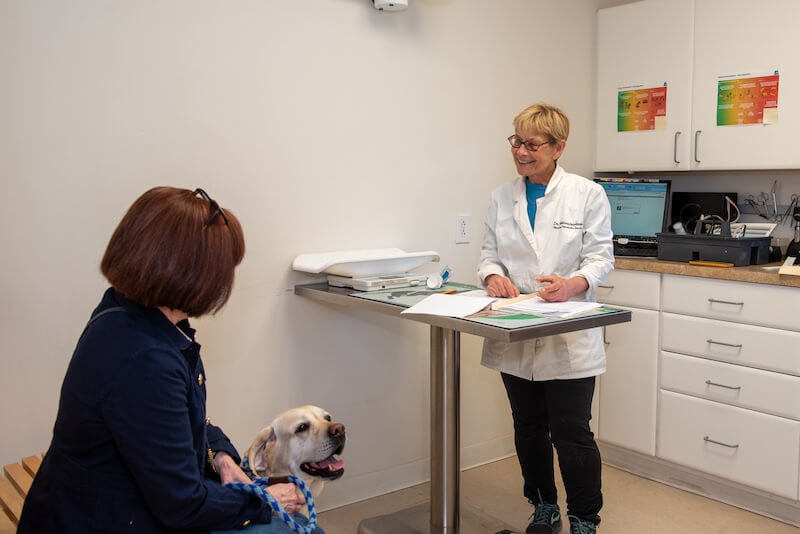 Hickory Vet Patient Interaction