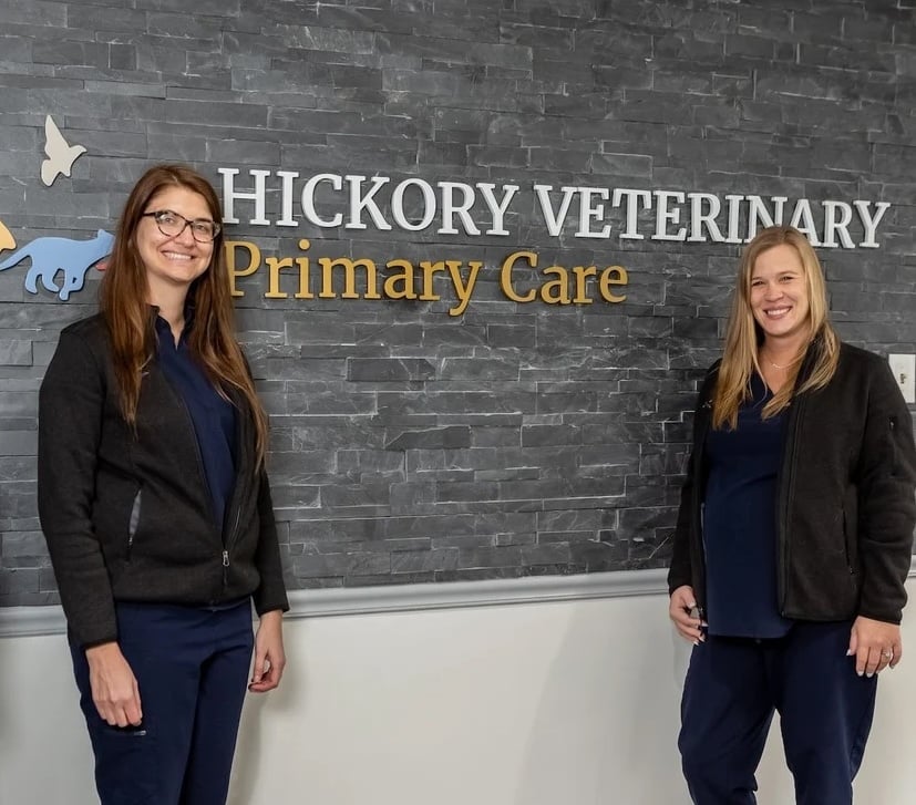 Hickory Primary Care Team 