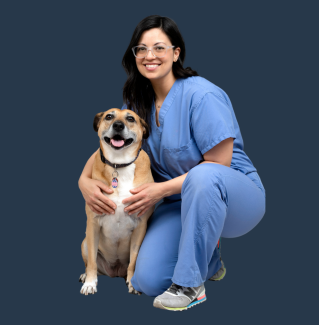 Kelly Saverino, DVM, DAVDC